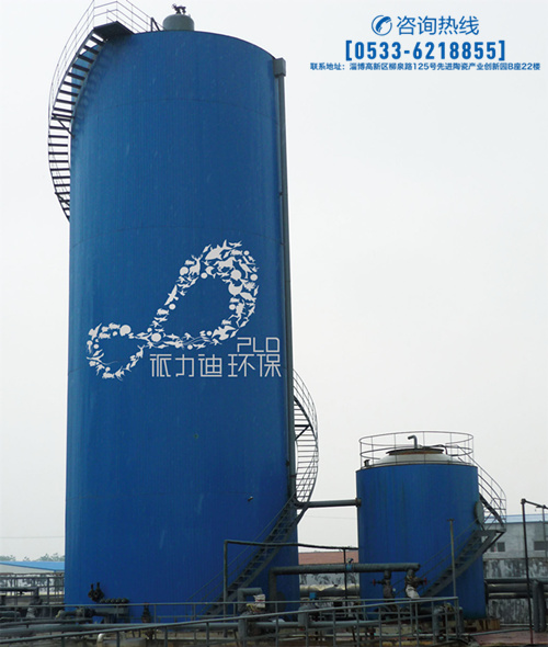 PLD-YY厌氧污水处理技术及工程实例