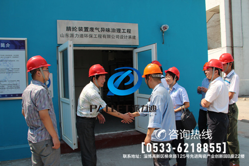 二甲胺废气处理-中国石化齐鲁分公司腈纶厂工业废气处理工程